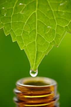 Essential oils for health Essential oils for health