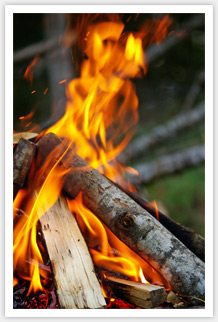 Vibrant camp fire Vibrant camp fire