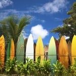 Surfboard fence with personality
