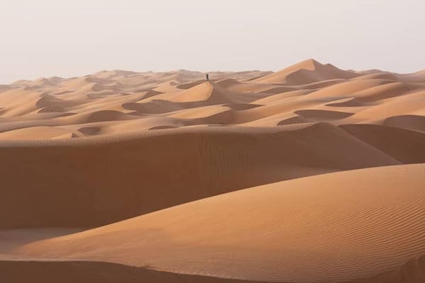 5 Simple Principles People with Growth Mindset Use to Respond to Challenges