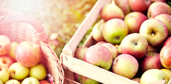 Apples-in-a-wooden-box-508588838_4256x2088.jpeg