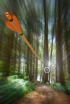 Arrow aimed at target in woods representing parents aiming for the values and goals.