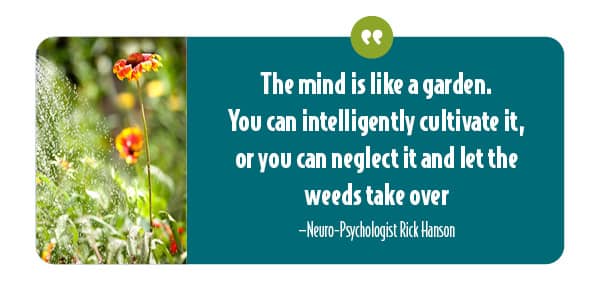 A quote by Rick Hanson on caring for the brain.