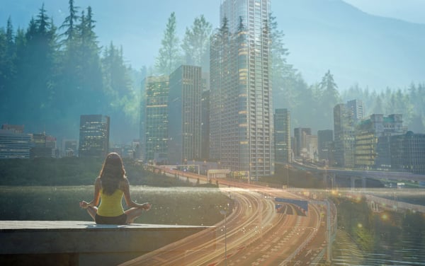 Renew Your Life and Work with Everyday Mindfulness