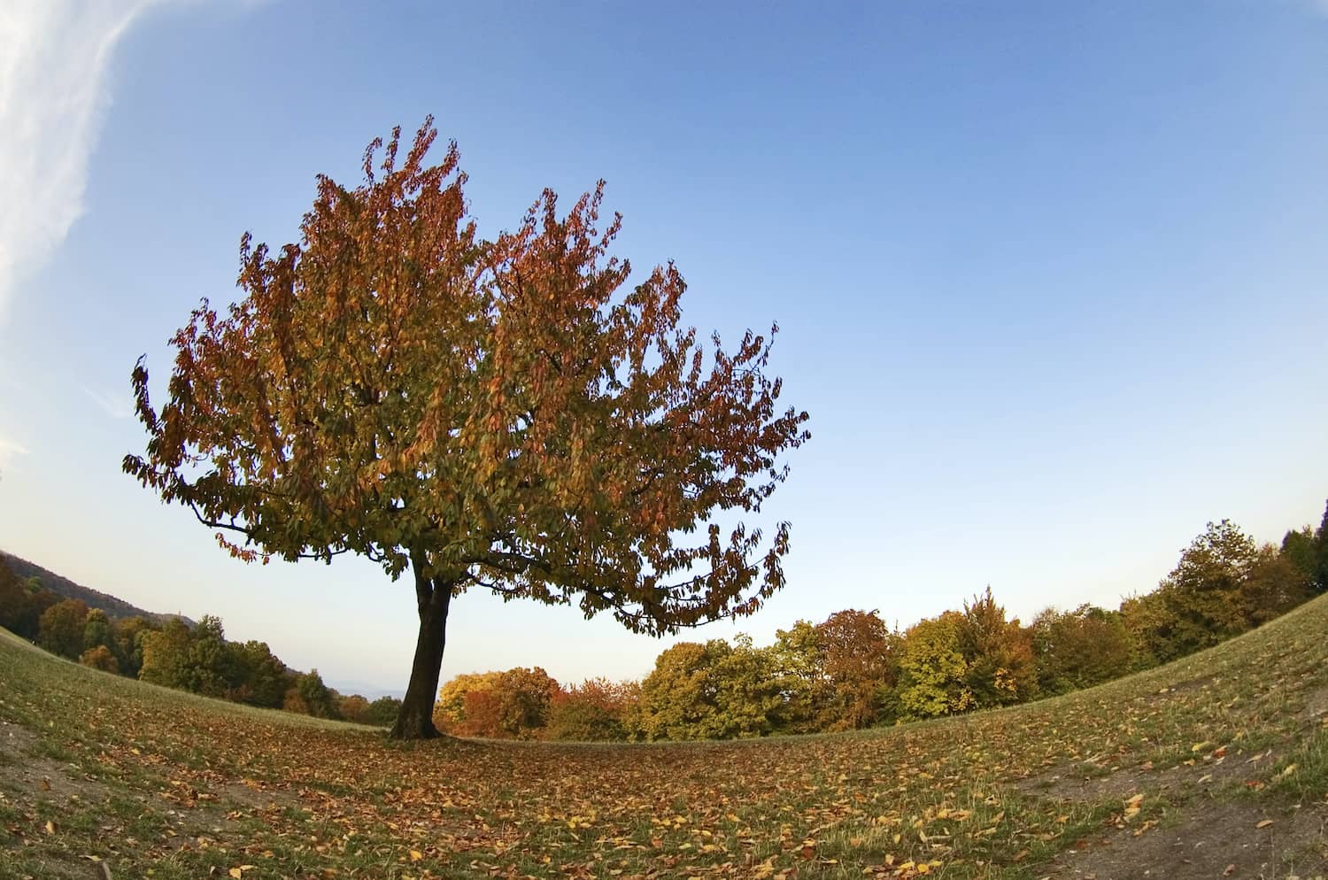Bending reality through changing the brain.