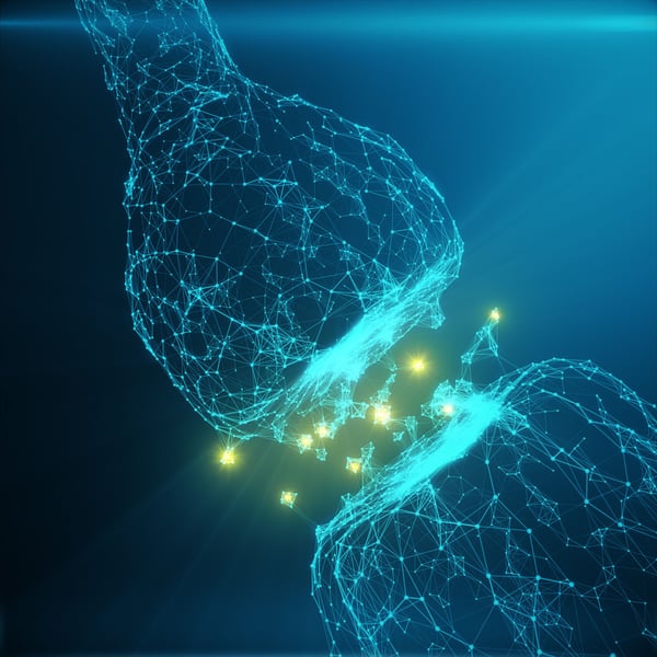 The Brain's Neurotransmitters—Make Pleasure a Priority!