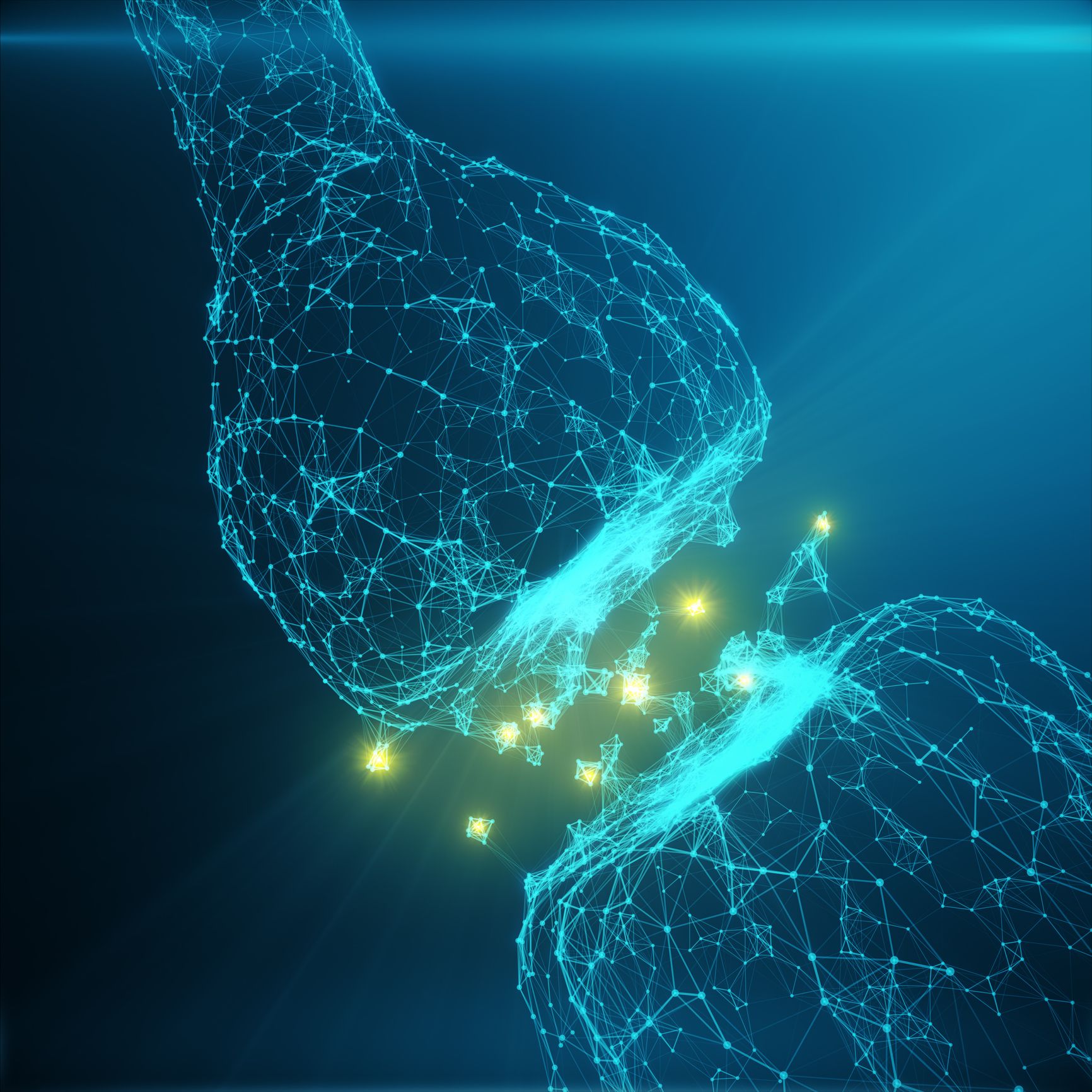 Neurotransmitters in the brain