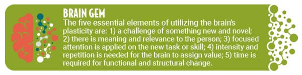 Brain Gem: 5 essential elements to utilize the brain's plasticity.