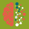 Brain Icon