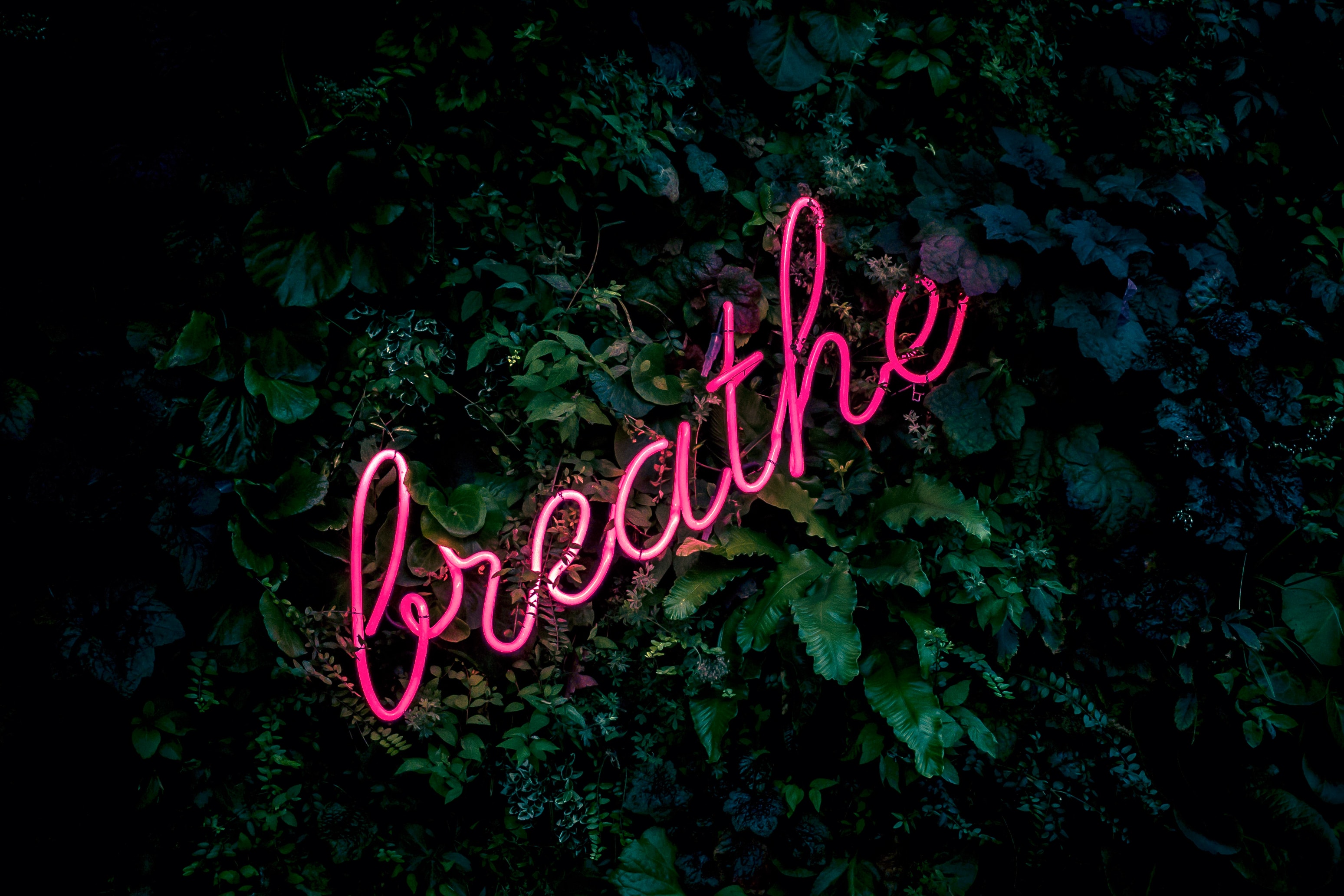 Breathing exercises to quiet anxiety.