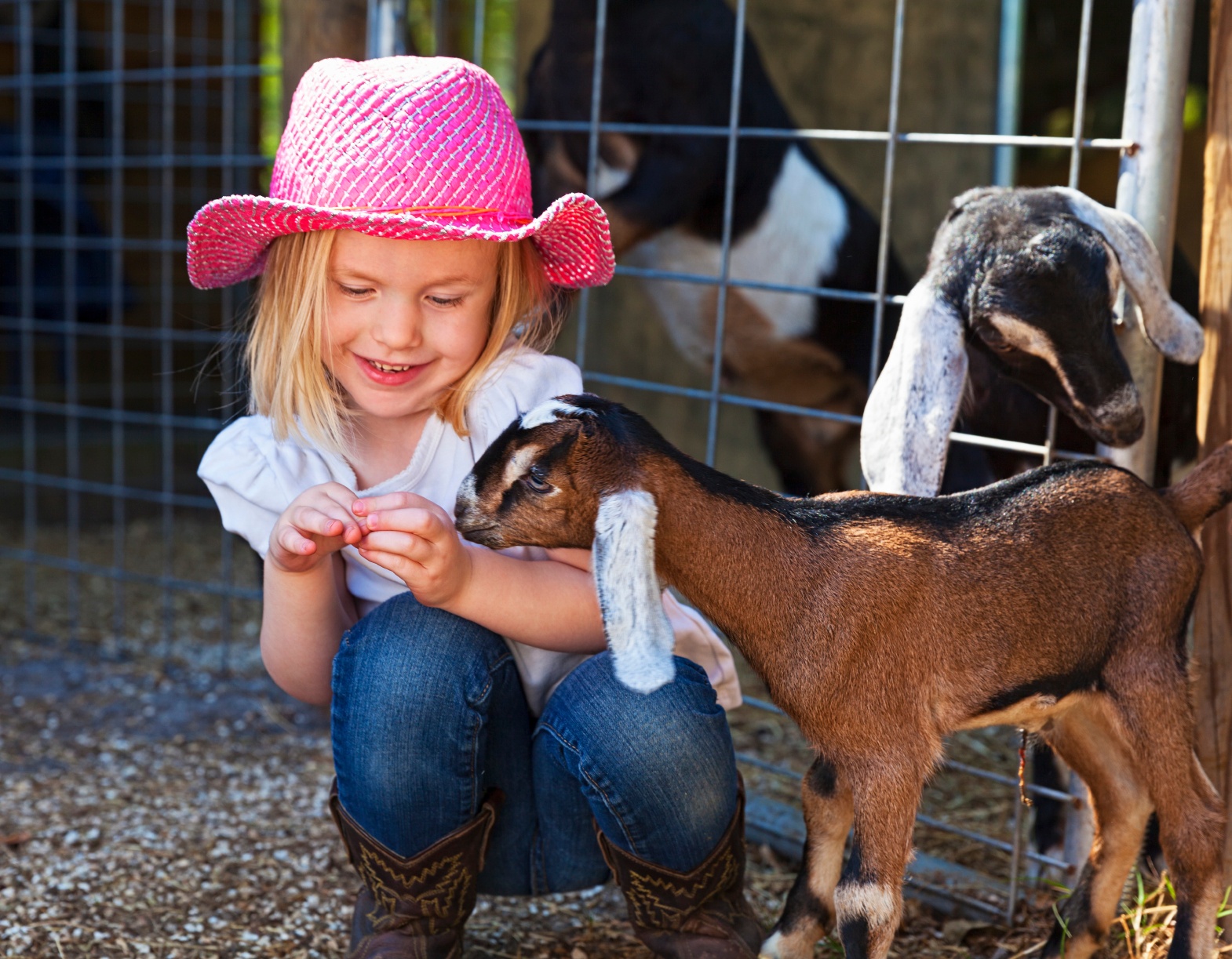 Child with baby goat guided by her inner teacher