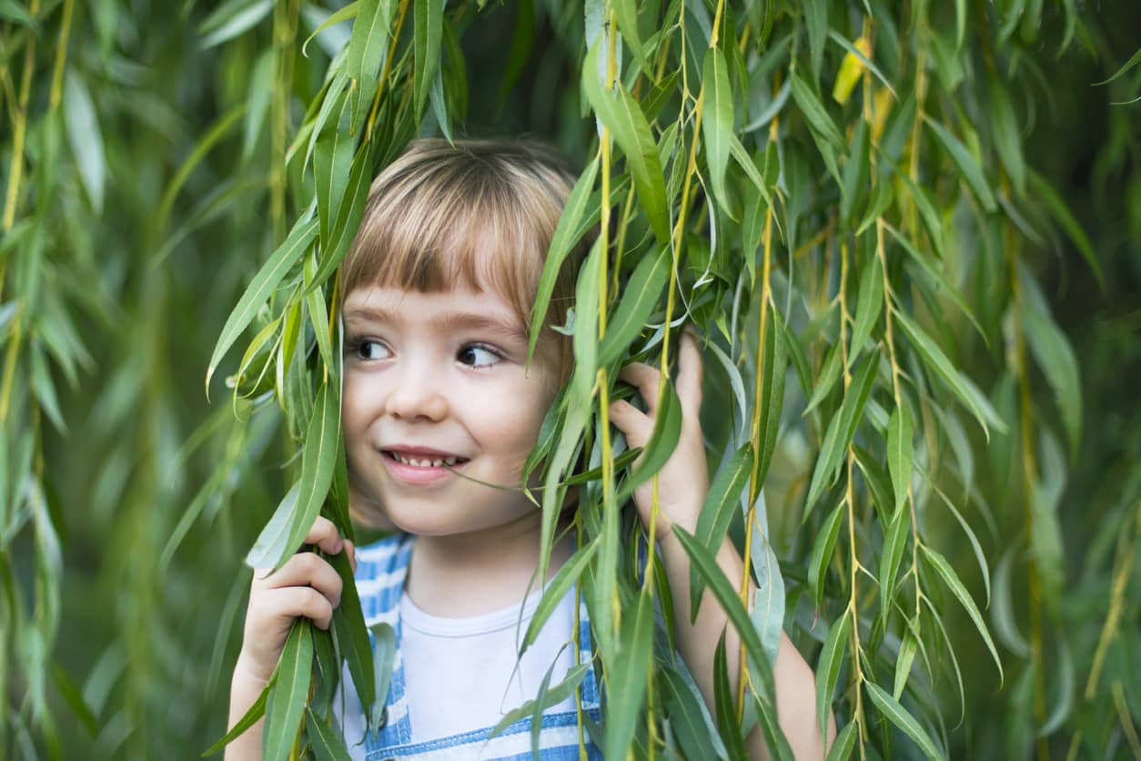 Child peeking through a Weeping Willow