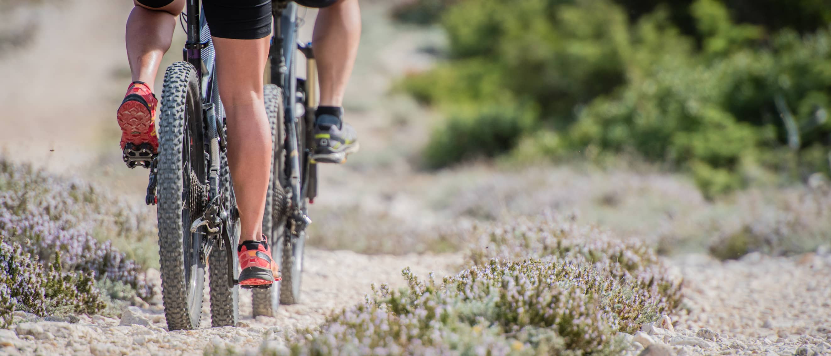 Couple mountain biking along a trail