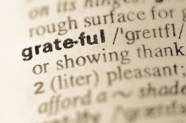 Dictionary meaning of grateful