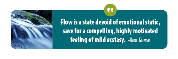 A quote by Daniel Goleman on flow.