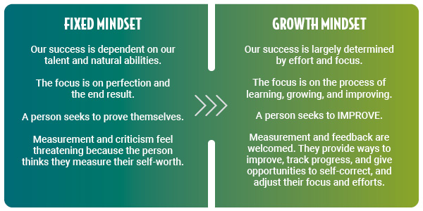 The Growth Mindset vs the Fixed Mindset Comparison