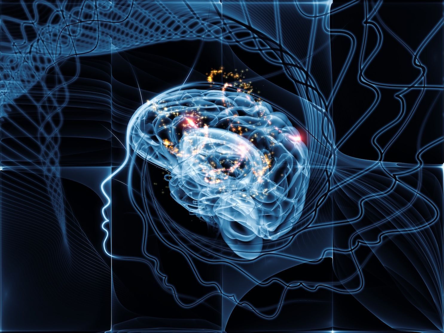 The teenager's evolving brain developing.