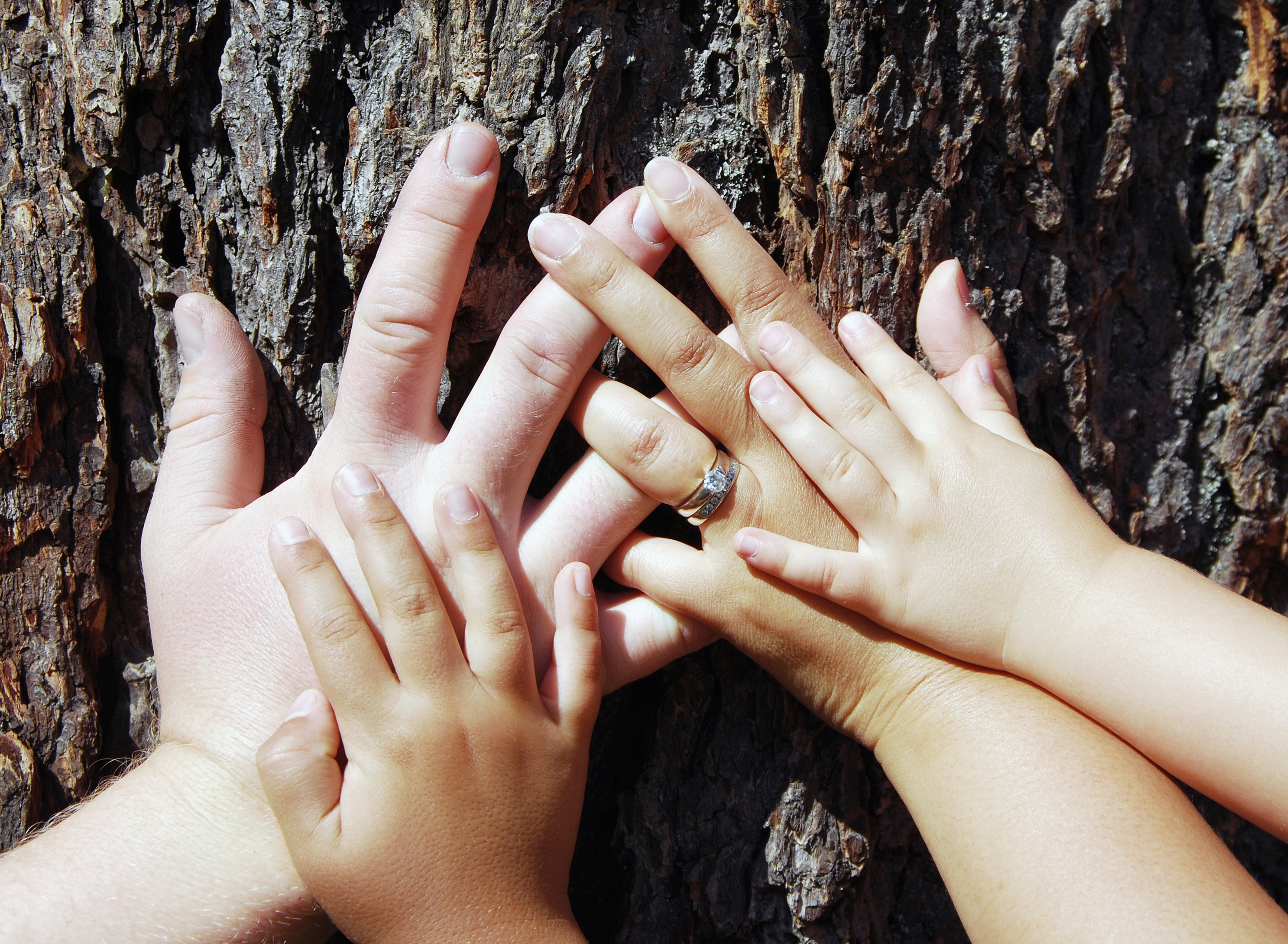 Each unique temperament makes up the dynamics of a family