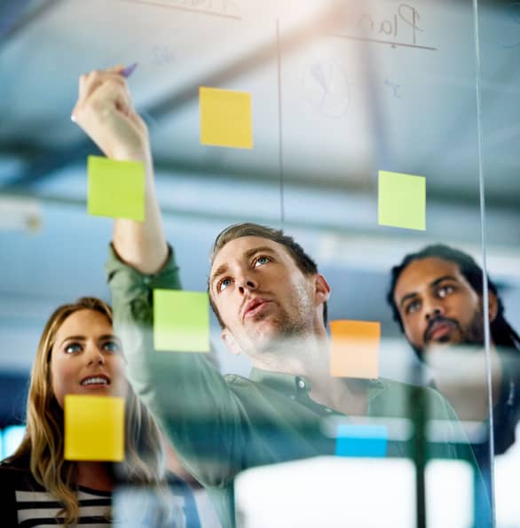 Flexible leadership combine knowledge for the good of the team and company.