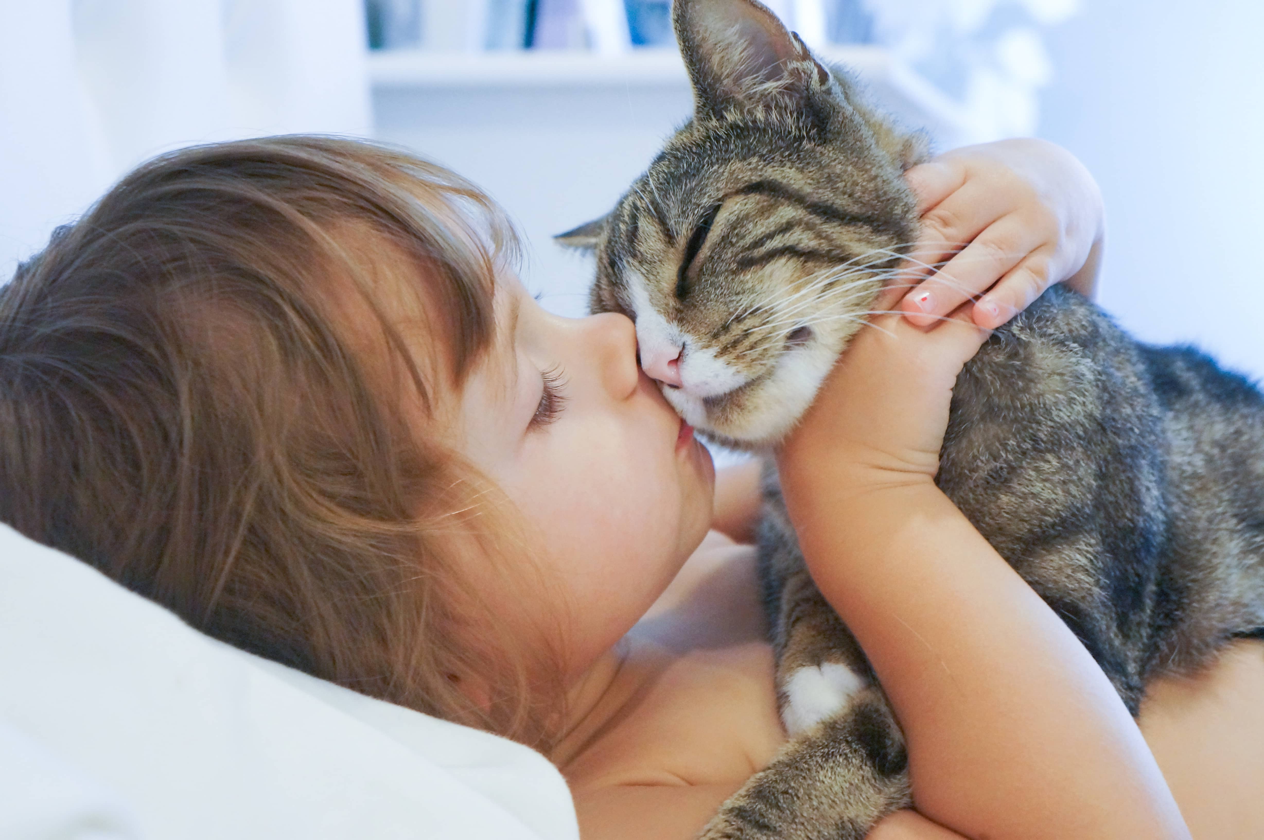 Girl kissing a cat: turn your observations into Montessori Lessons. 