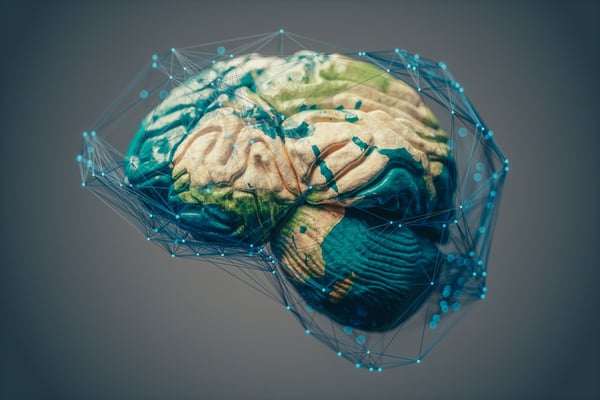 What Happens in Your Brain When You Fail?