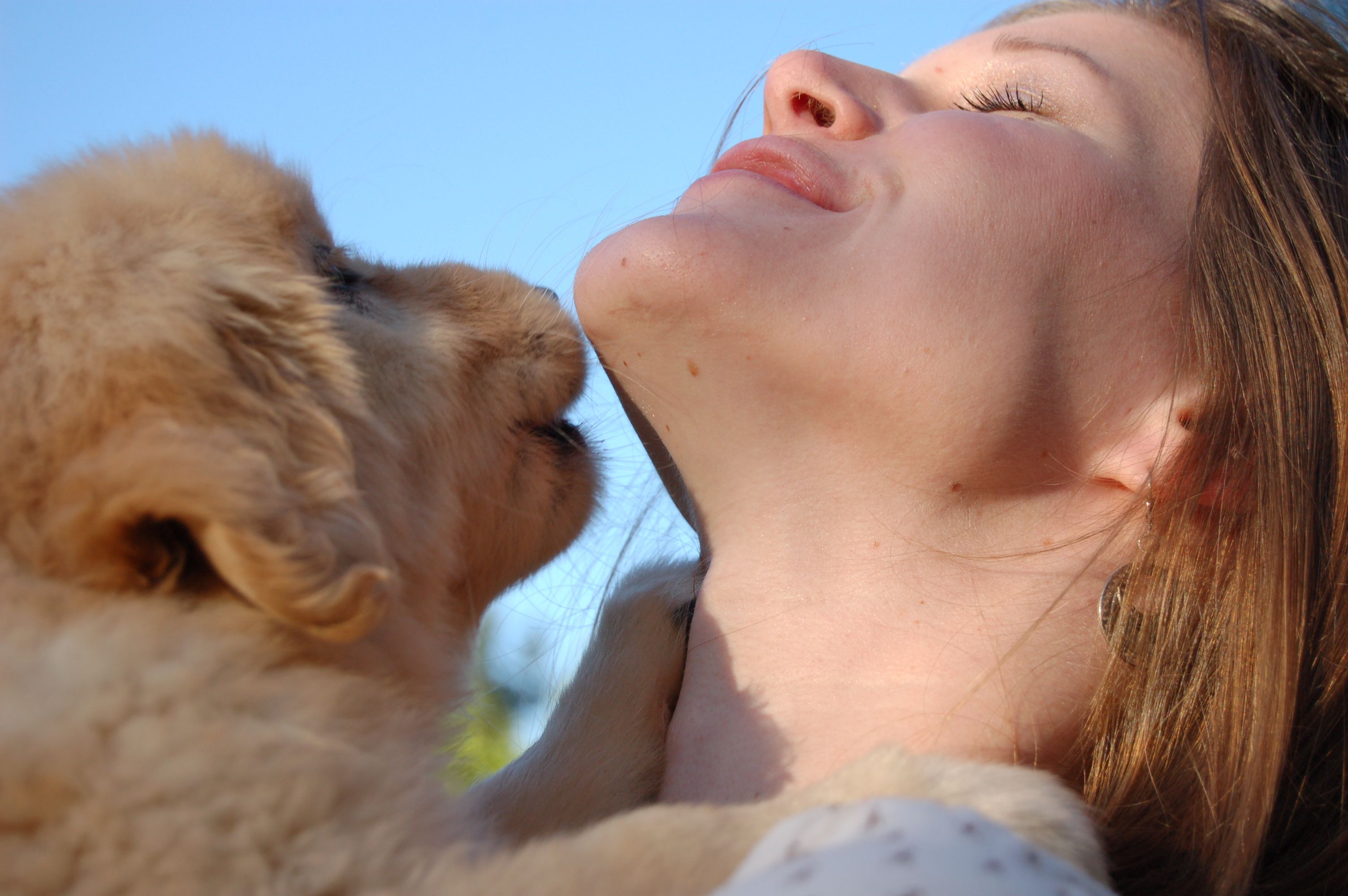 Young woman being licked by a Golden Retriever puppy