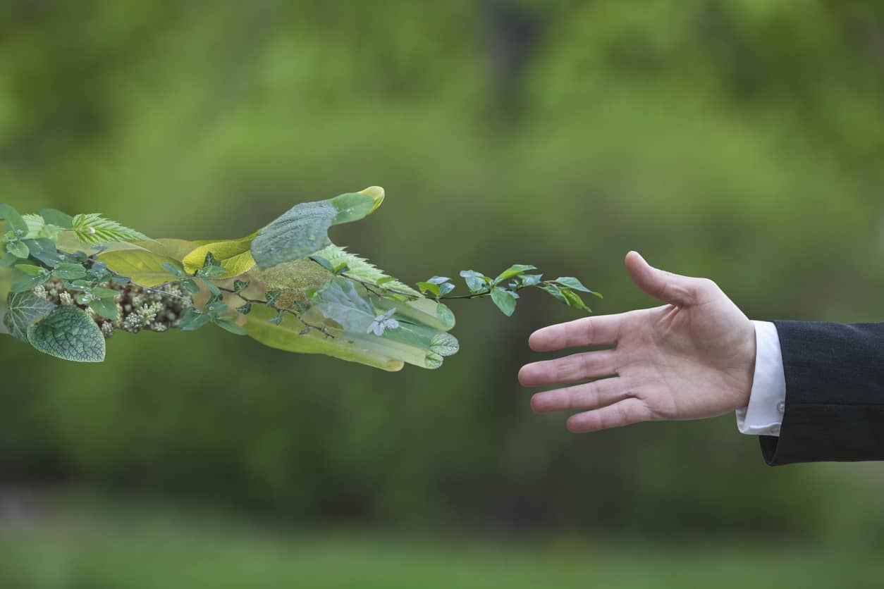 A handshake with nature for a sustainable business.