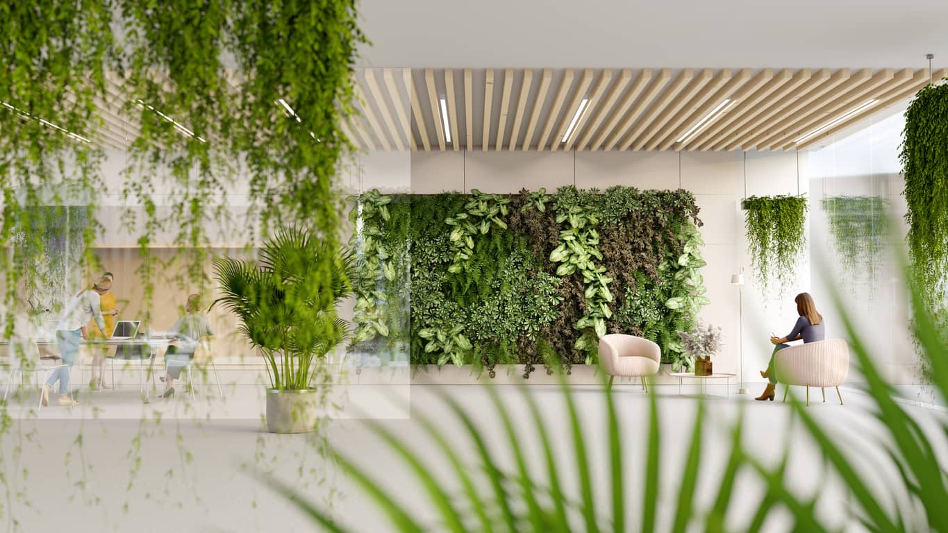 Green environmentally friendly office with greenery imparting a message of simplicity and success.