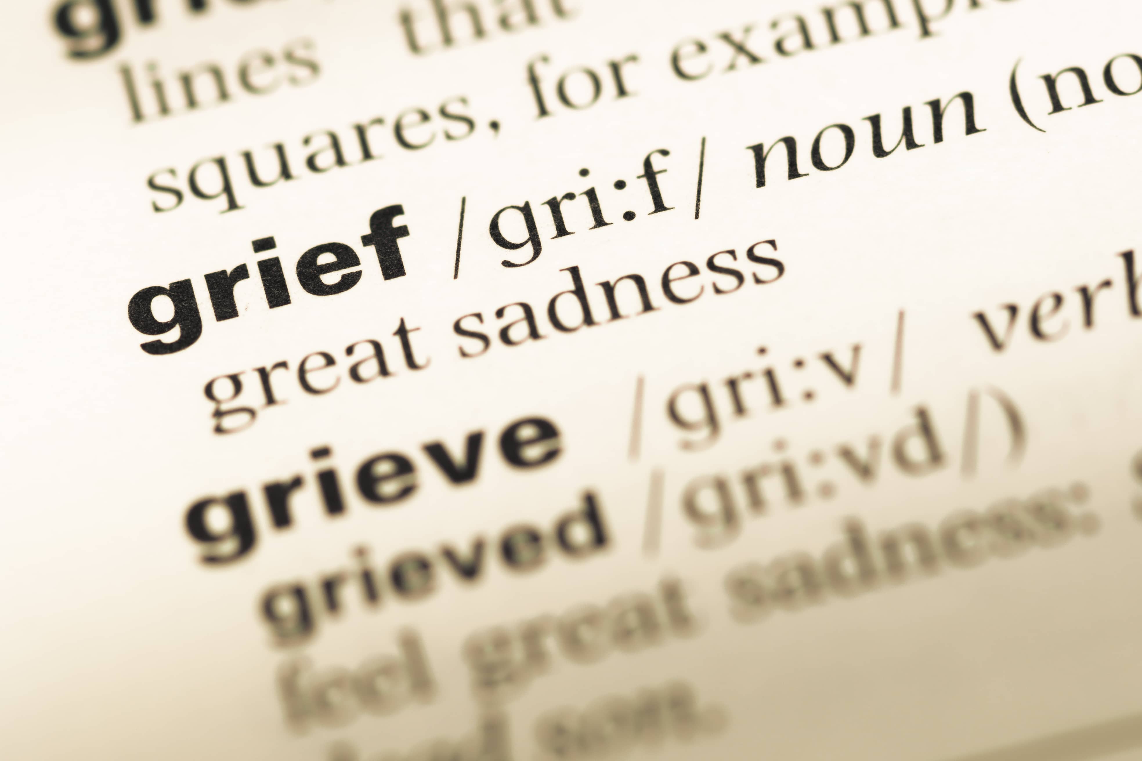 Grief definition