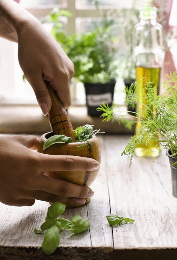 Support Optimal Health with Essential Oils