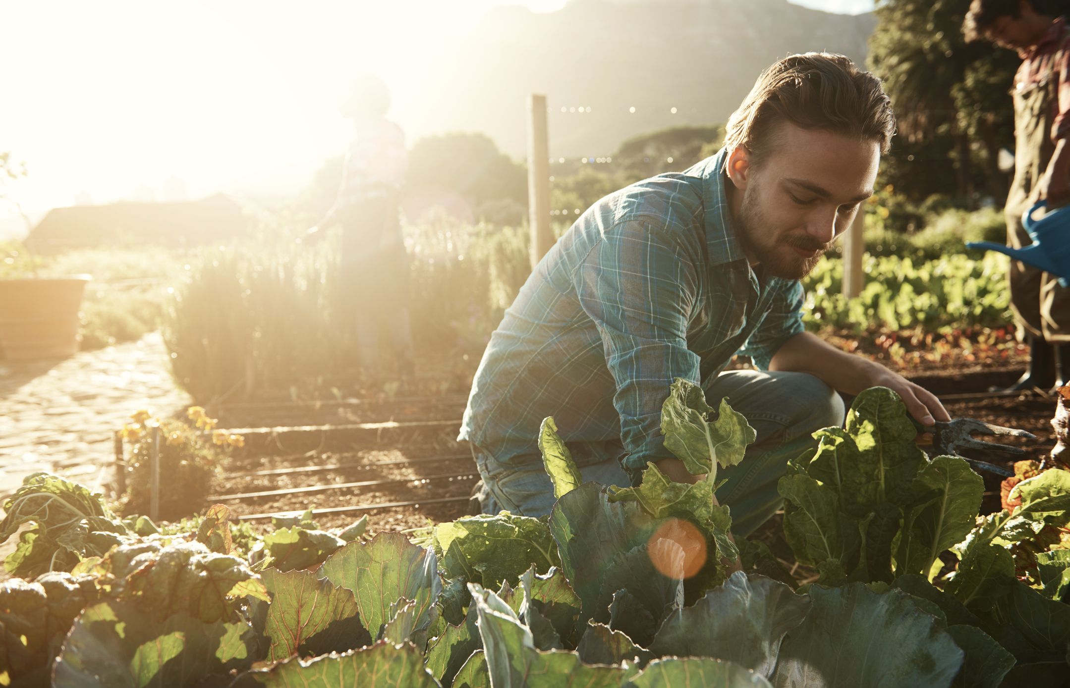 Young man gardening as a way to build mindfulness.