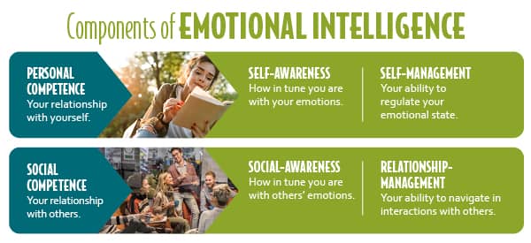 Key components of emotional intelligence chart.