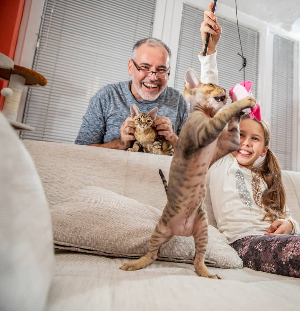 Father and daughter playing keep away with a cat.
