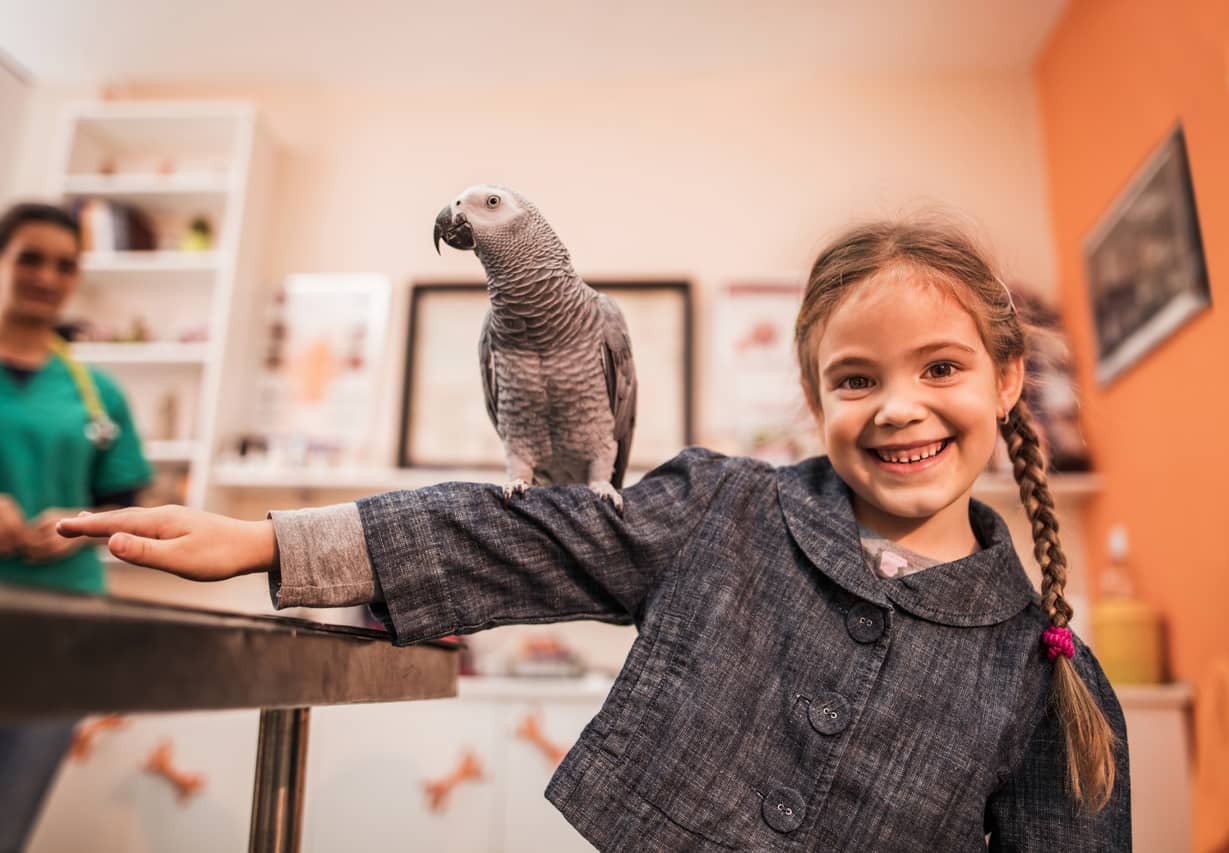 A very happy and proud girl with braids holding her parrot with arm outstretched.