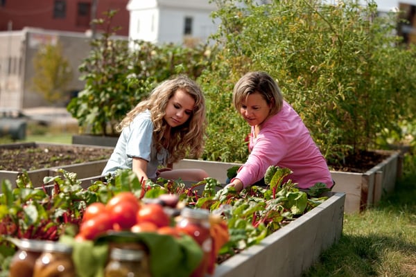 Are You Unintentionally Crippling Your Child's Motivation?