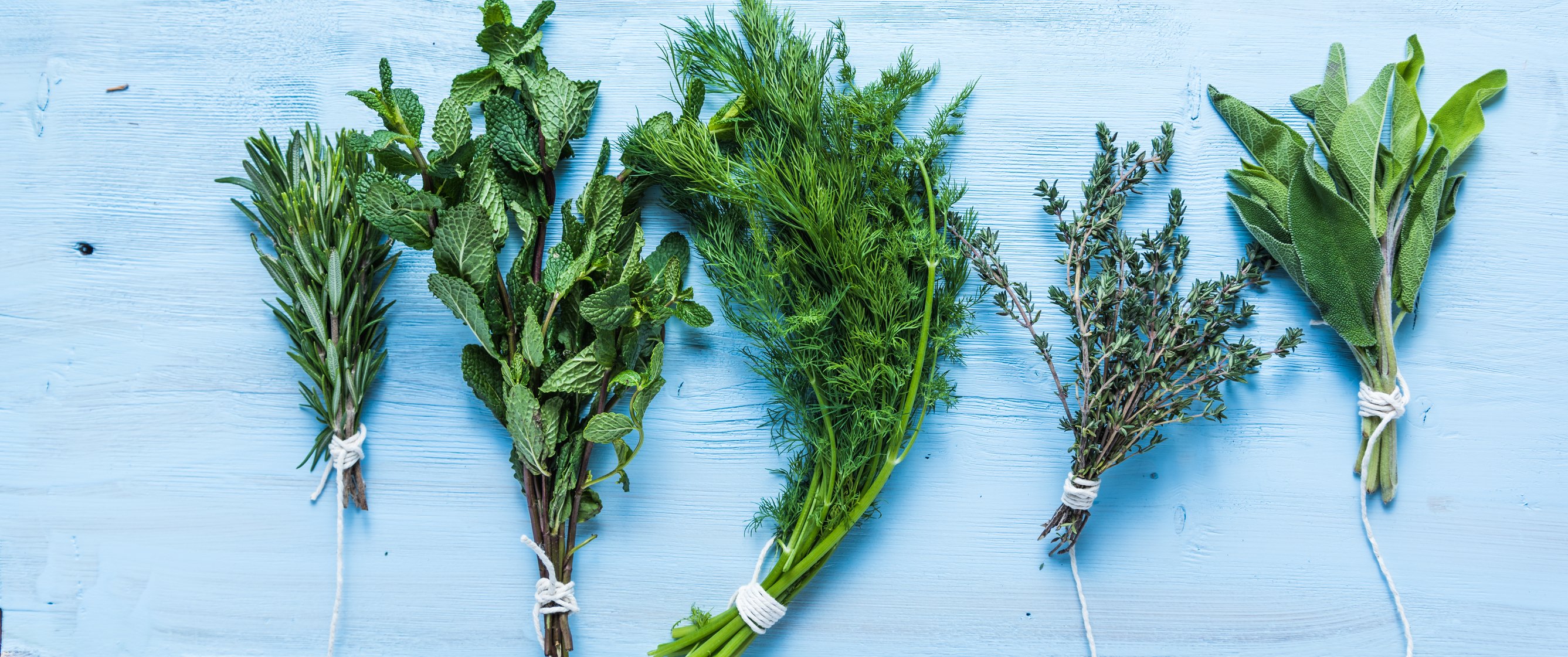 Rosemary, peppermint, and other plants drying on a table