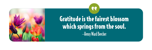 Gratitude, the fairest blossom of the soul.