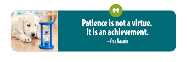 Patience is not a virtue; it is an achievement.
