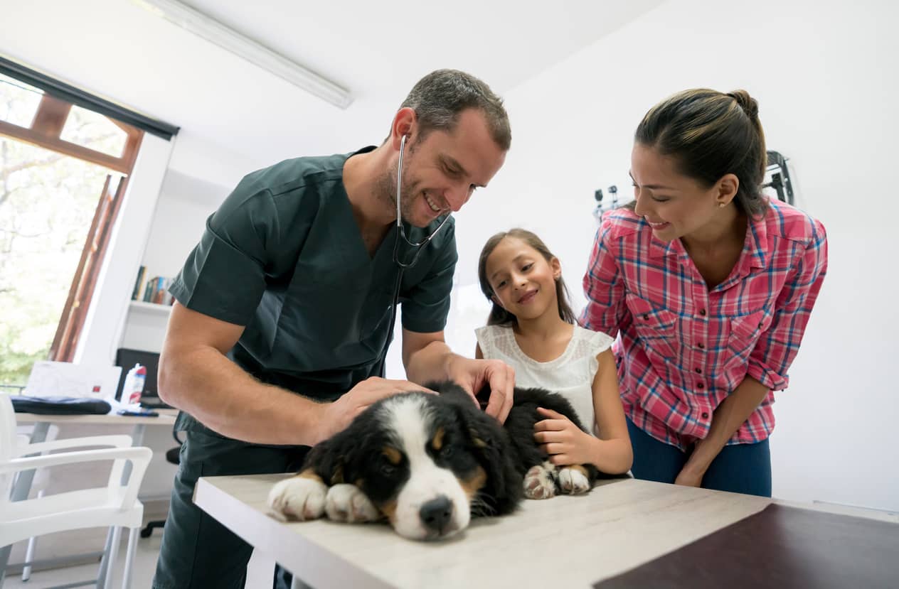 Mother and daughter visiting the vet with their puppy.