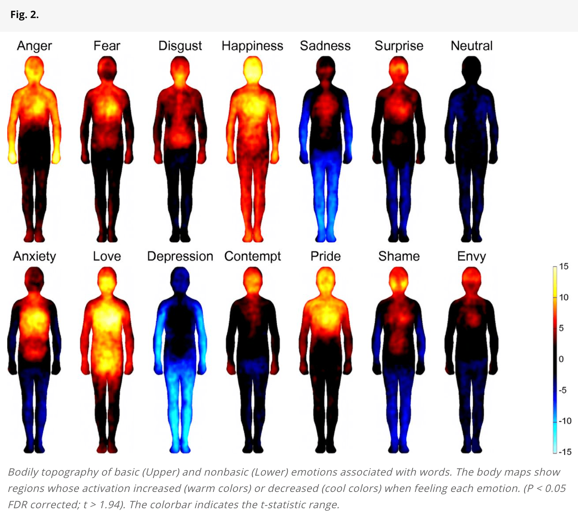 Nummenmaa Map of Emotions Findings