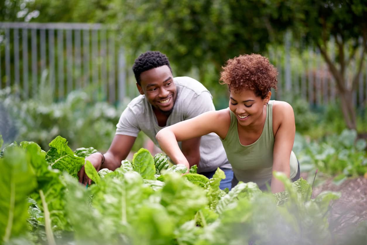 Couple gardening together during quarantine