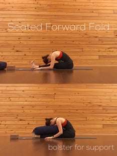 Picture of the Seated Forward Pose
