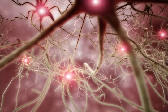 The neurons and neural pathways of the brain lighting up with meditation.