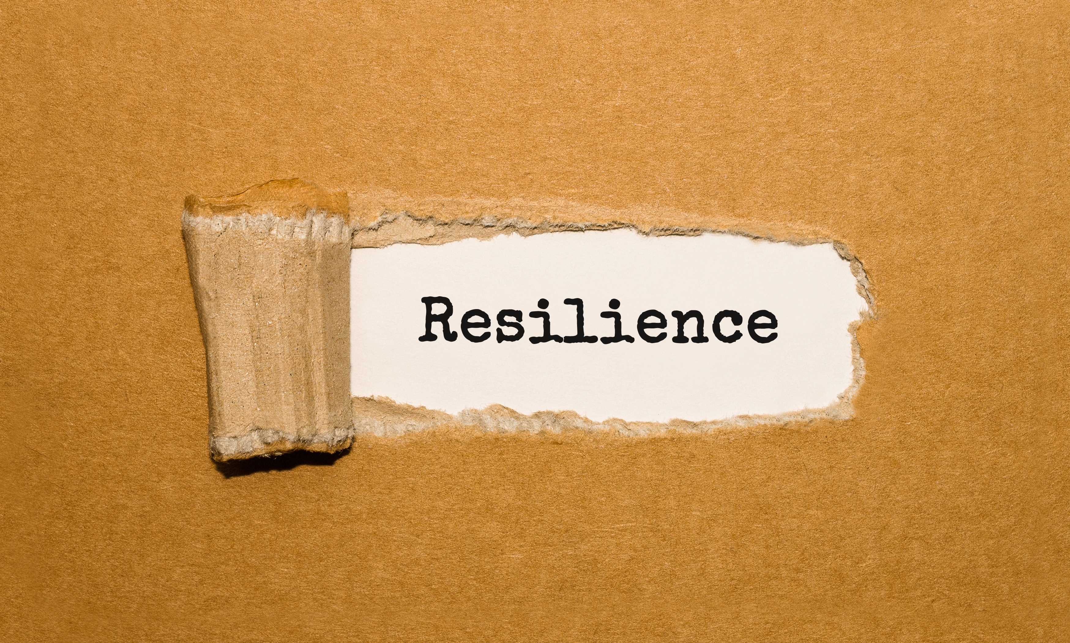 Do you have resilience, an vital emotional intelligence tool