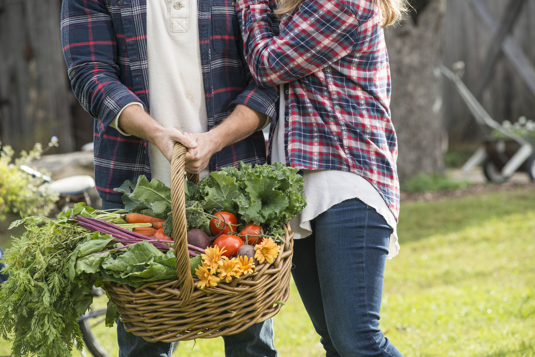 Young couple harvesting from their vegetable garden.