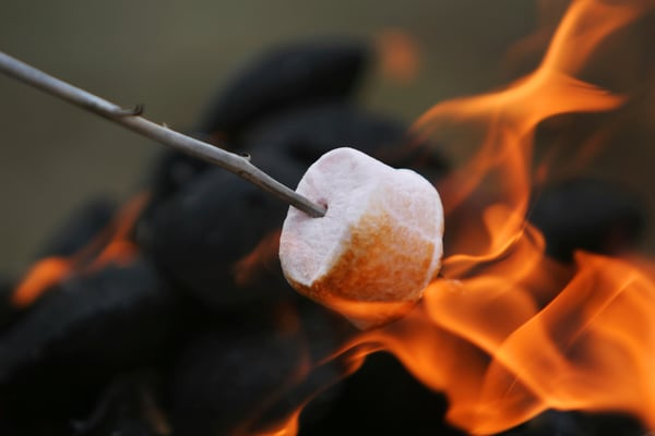 Roasting marshmellows over a campfire