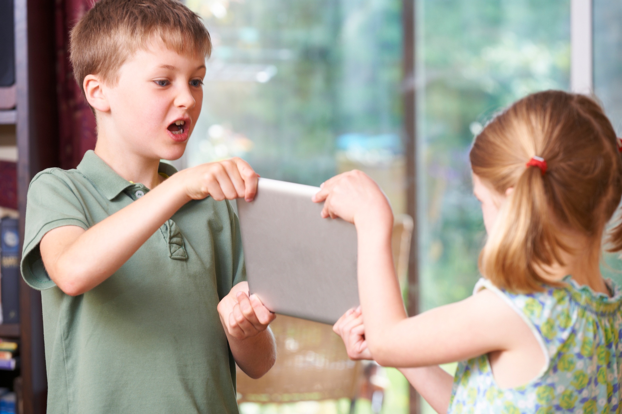 Addressing Sibling Rivalry in the Home